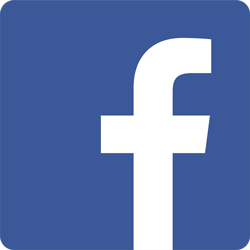 Facebook logo link.